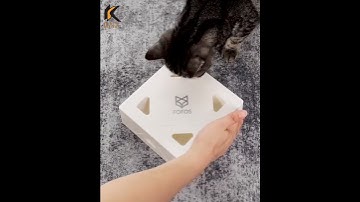 Smart Electric Peekaboo Cat Interactive Toy With Rotating Feather-KLJSHOP