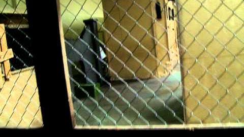 Insight Interactive Airsoft Games 08-20-11  video #9