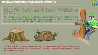 Требования по охране труда при работах по валке древесно-кустарниковой растительности