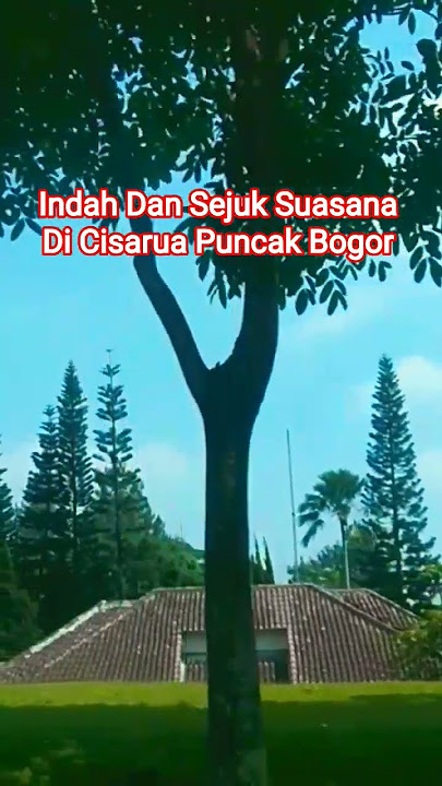 Indah Dan Sejuk Suasana Di Cisarua Puncak Bogor.