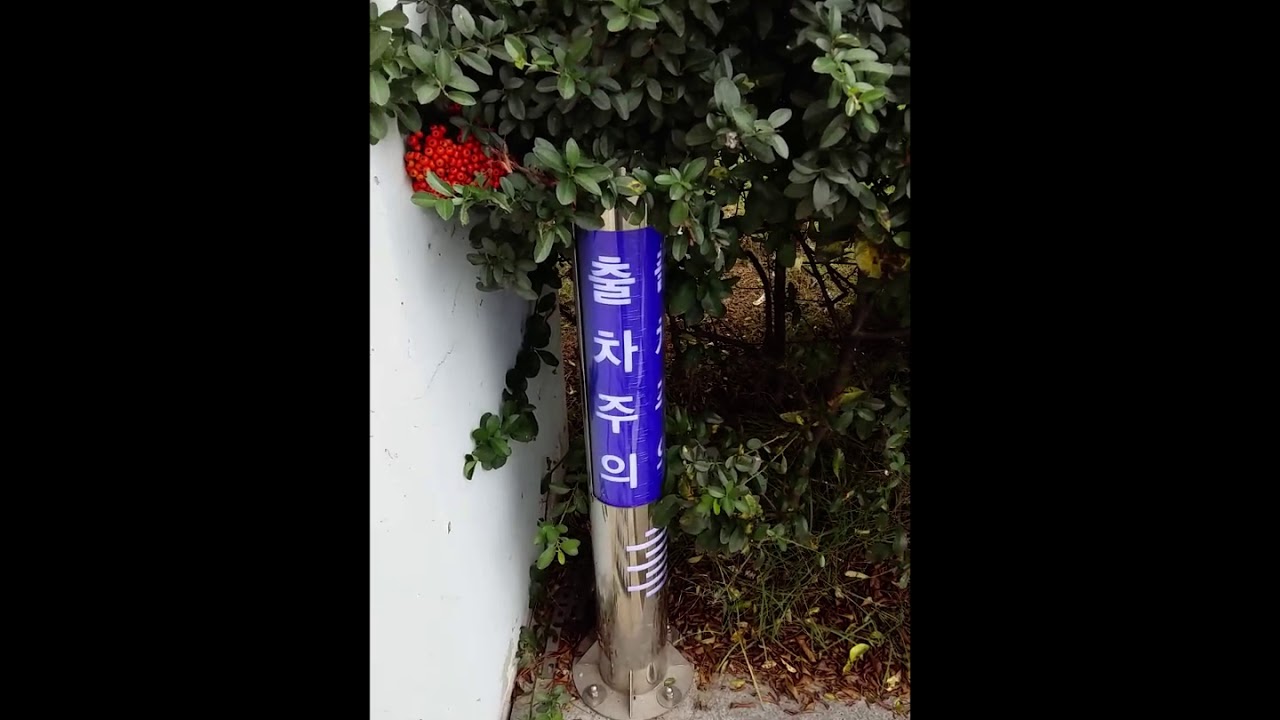 세종시 대영아이오티 출차주의등 모음 [보너스! 아이파킹 신형 출차등포함!]