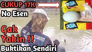 Toturial Umpan Ikan Mas !! Klik Telor Asin No Esen !! Umpan Dadakan Tes Langsung Lomba Reguler