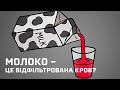 Молоко – це відфільтрована кров? [MinuteEarth]