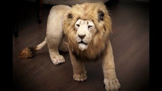 Lion. Realistic toys from Emiliya screenshot 4