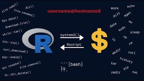 Command Line Basics for R Users - R & Shell