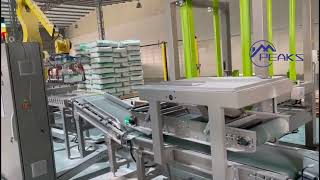 Fully Automatic Valve Bag Filling Packing Palletizing Machine Robot Palletizer