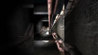 Сталкер кооп тч #сталкер #stalker #stalker2 #сталкер2 #xraymultiplayerextension #кооп #xrmpe #тч