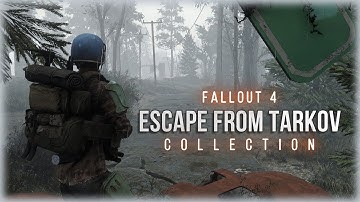 Raids, Loot and Misfortune - Fallout 4, Escape From Tarkov Style - Standalone Video