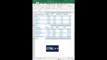 sum tables data in one click in excel #excel #msexcel #msexceltutorial #shortsvideo #msexceltricks
