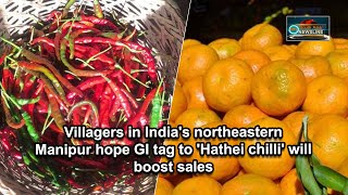 Villagers In Indias Northeastern Manipur Hope Gi Tag To Hathei Chilli Will Boost Sales