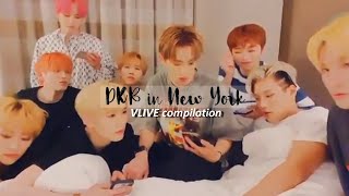 DKB's first concert on their U.S Tour (vlive)  ENG SUBS