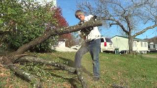 Echo C 310 and Stihl MS210 Fallen Peach tree , Home owner saws by wtbm123 230 views 5 months ago 9 minutes, 4 seconds