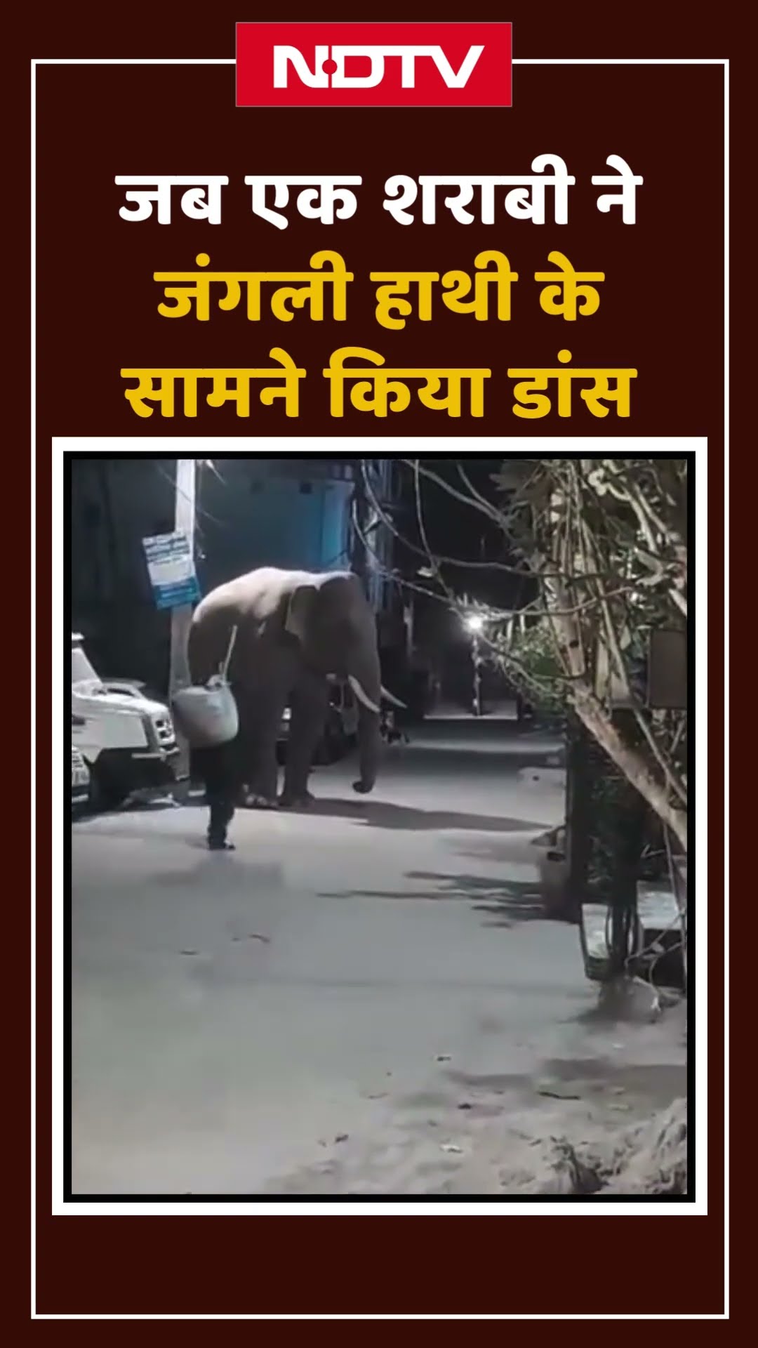 Haridwar: जब एक शराबी ने जंगली हाथी के सामने किया डांस | Shorts
