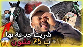 🚨شريت جدعة بنت الفحل شاميخ مول 75 مليون 😱 … عطيوني رأيكم فيها كيف جاتكم 🤔..