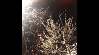 Rory in early 20s - その箱の中に入る。