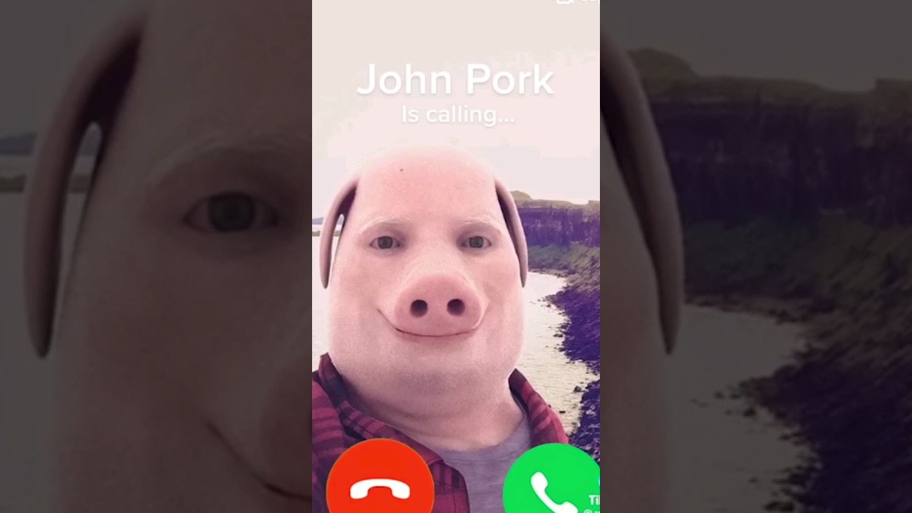 KIM JEST JOHN PORK? 