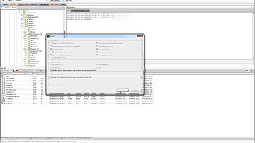 FTK Movie   Module 5   Exporting Files and Folders