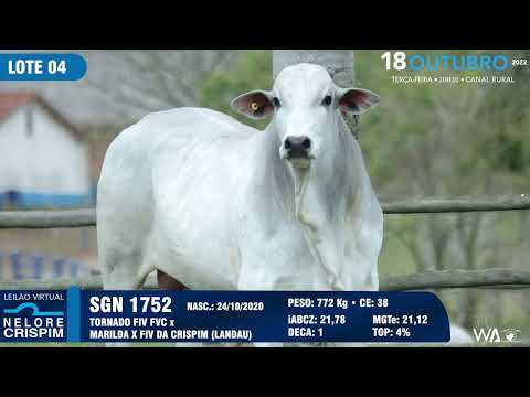 LOTE 04 SGN 1752