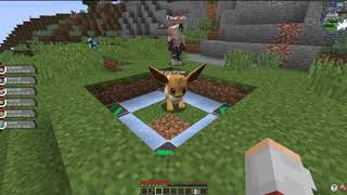 This is what you do when you want to train a pokemon for happiness On Pixelmon xD