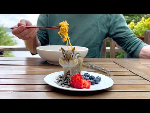 톰 아저씨의 한국 라면 조리법
