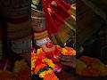 पाप कट जाए चरण छूने से #trending #viralvideo #matarani #vasnodevi