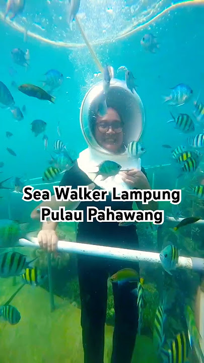 Nyobain Sea Walker di Pulau Pahawang, Lampung #beach #sea #indonesia #seawalk