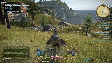 Leveling Arcanist - FFXIV (PS4)