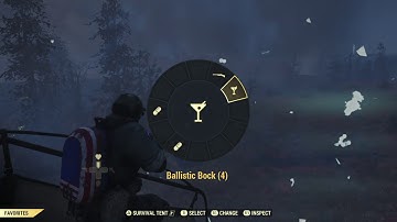 Fallout 76: Bloody Stealth Commando SBQ Solo