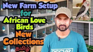 African Love Birds Collection | New Farm Setup| Karthick's Aviary