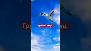 Группа Курнуц - Журавли #курнуц #curnut #дворовые