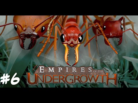 Видео: Победа с пятой попытки. Наперегонки с враждебной колонией. Empires of the Undergrowth #6