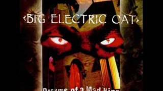 Big Electric Cat - Orchid Dreaming chords
