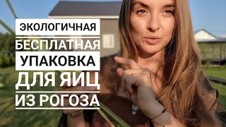 Экологичная и бесплатная упаковка для яиц. Наш деревенский способ🔥