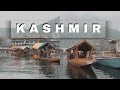 Glimpse of Dal Lake| Kashmir: Paradise on Earth #shorts
