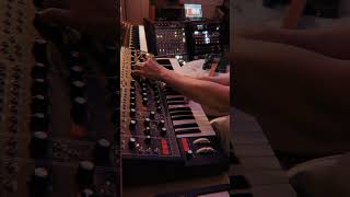 Ambient jam, Arturia Polybrute with fender telecaster and Kemper rack