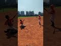 🔥リトルリーグ練習する⚾ 😎 #少棒 #u12 #u18 #棒球 #校隊 野球クイズ 1 #リトルリーグ #野球 #スクールチーム #甲子園 #社區棒球 #wbc