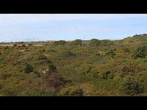 North Truro, MA