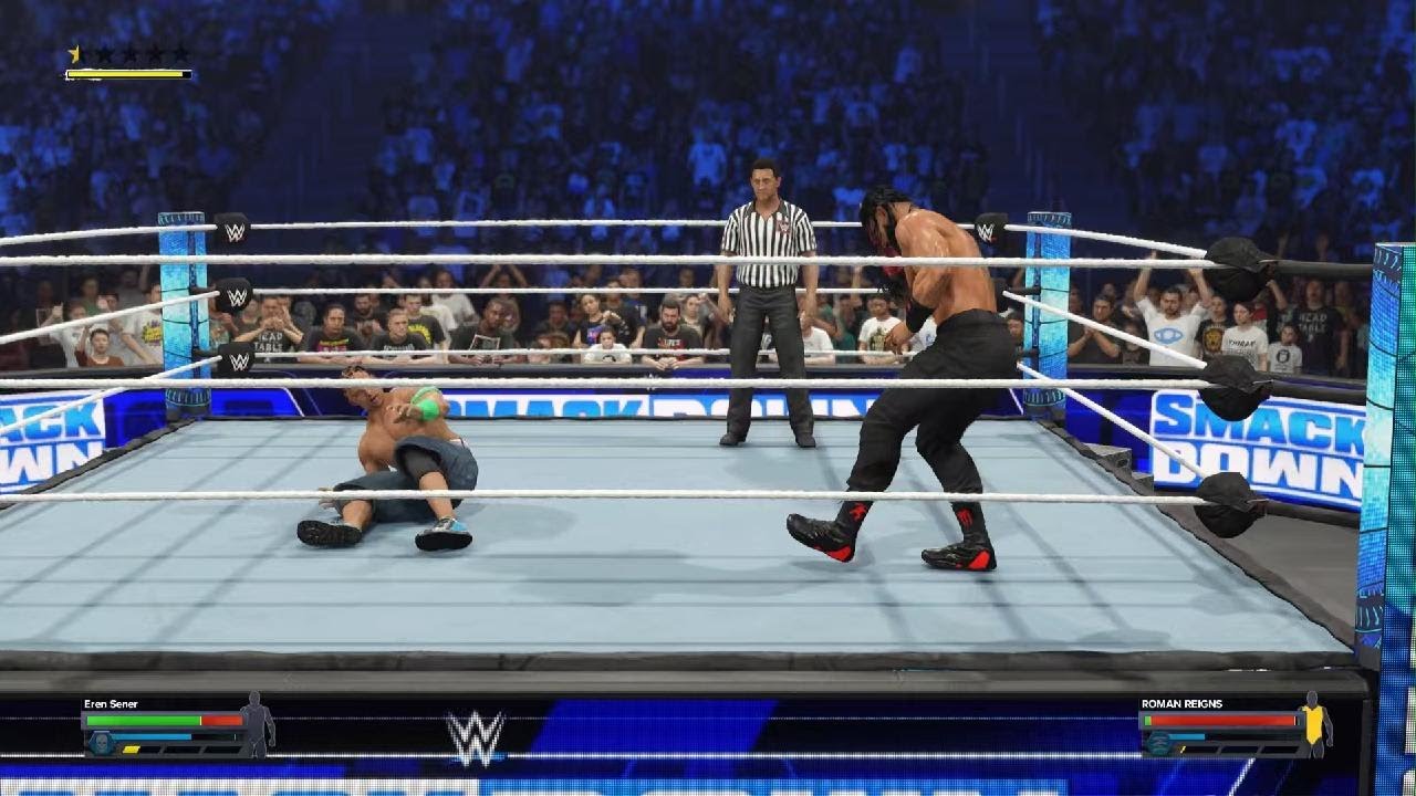 Undisputed WWE tag Team Champion