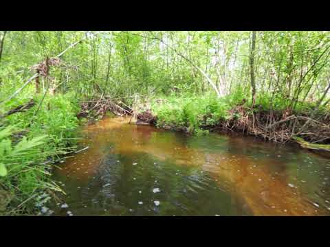 4861 E Houghton Lake Rd, Lake City, MI home video tour