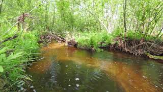 4861 E Houghton Lake Rd video tour