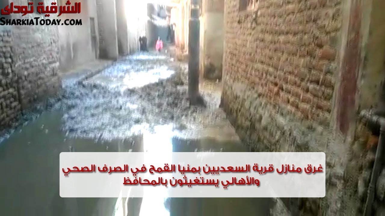 الشرقية توداي | غرق منازل قرية السعديين بمنيا القمح في الصرف الصحي والأهالي يستغيثون بالمحافظ