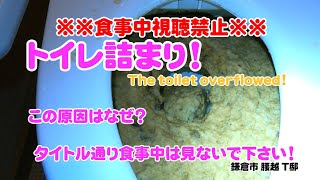 Blocked Drain 113 鎌倉市 腰越 T邸【トイレ詰まり】※※食事中視聴禁止※※（半地下トイレ一ヶ月ぐらい使っていなくって昨夜使おうと思って蓋を開けたら汚物が逆流してるとの事でした！）