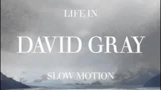 David Gray - 