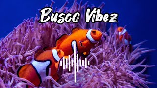 Allan Toniks - Sikuleka [Pakx Chill ReMix]