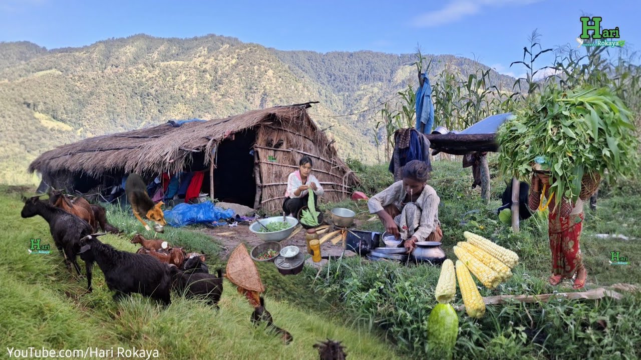 Traditional Nepali Mountain Village Lifestyle | Organic Food Cooking in a Countryside Village 
