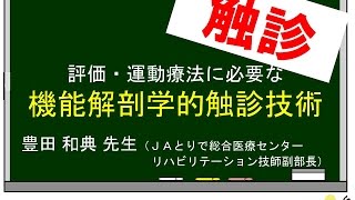 解説・触診技術の重要性