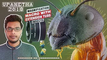 An Introduction To Macro Photography