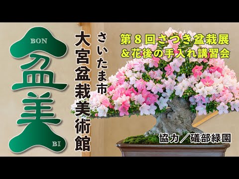 Satsuki Bonsai Exhibition at the Omiya Bonsai Museum