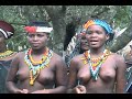 Tour to a traditional zulu village  dancing singing drink musical instruments and homes