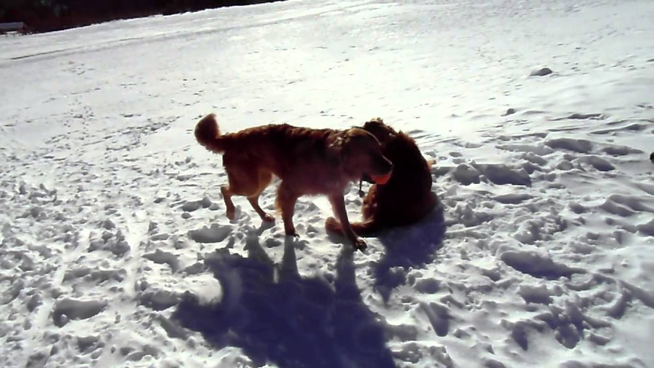 SAM 0337 - YouTube